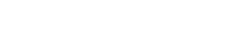 Pocket shuttle